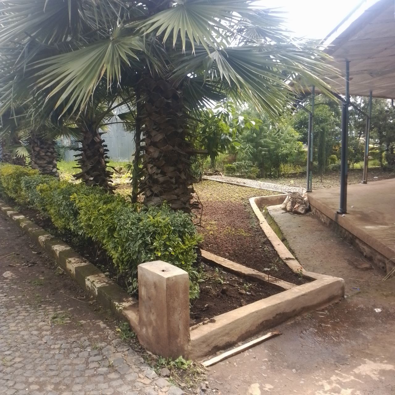 Activities done by DMPTC in 2017E.C