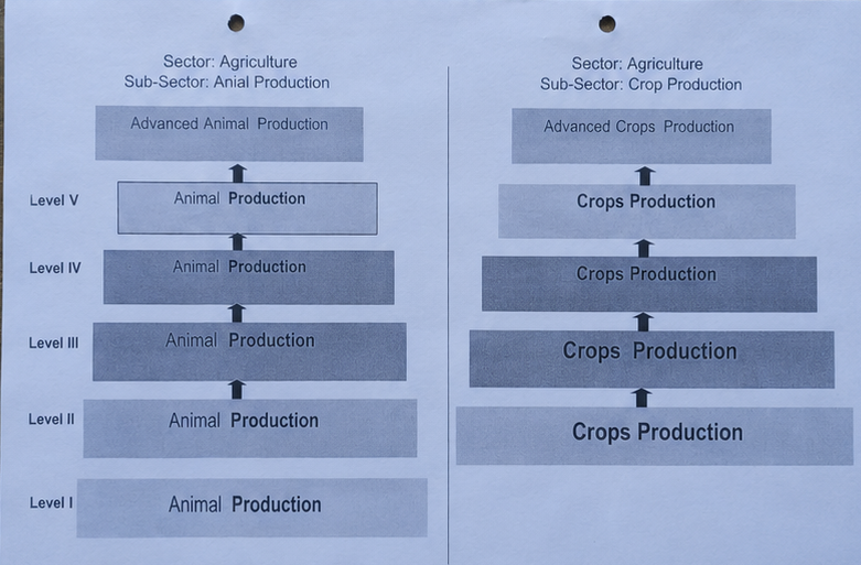 Agriculture Department